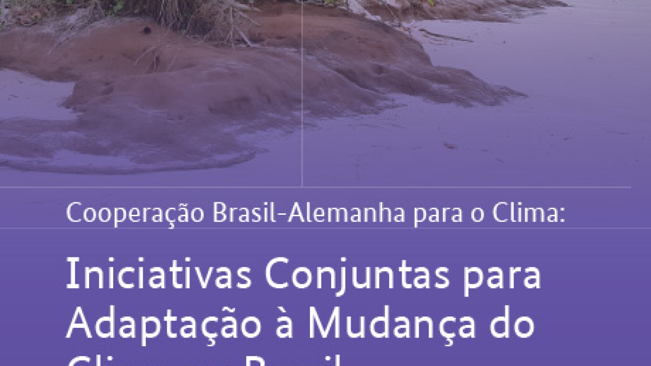 042a - Coop Brasil-Alemanha Iniciativas para Adaptação à MC