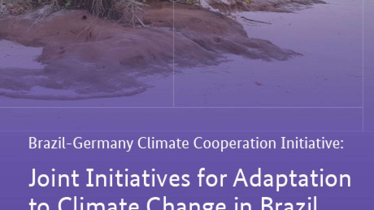 042b - Brazil-Germany Climate Cooperation Initiatives