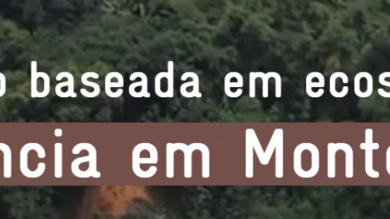 26- Adaptação baseada em Ecossistemas - Experiência em Monte Serrat, Santos-SP